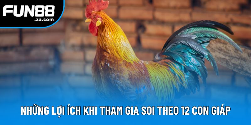 Những lợi ích khi tham gia soi đá gà theo 12 con giáp Những lợi ích khi tham gia soi đá gà theo 12 con giáp